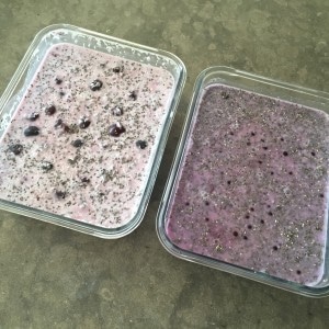 Cherry and Blueberry Chia Pudding